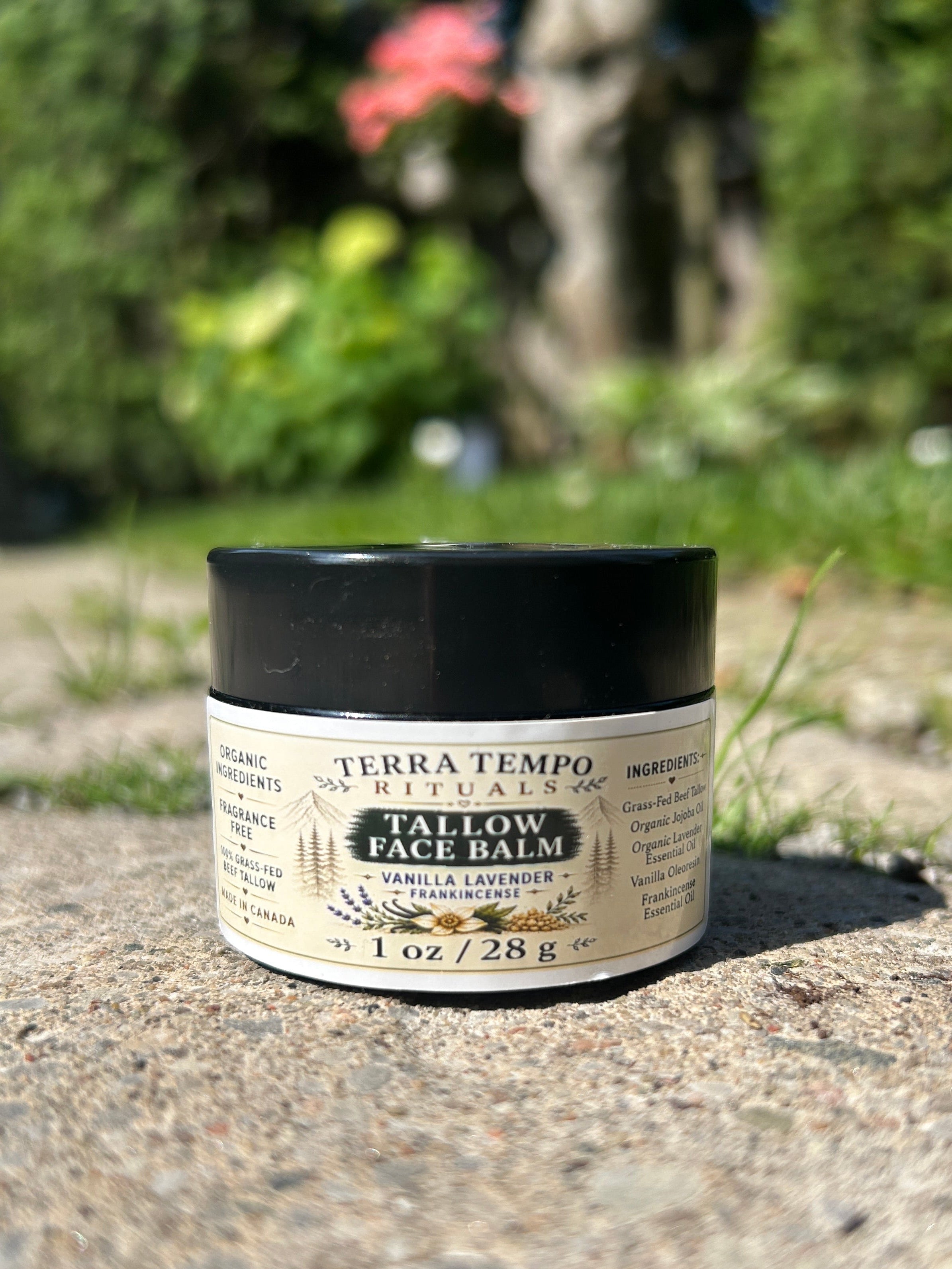 Tallow Face Balm — Vanilla Lavender & Frankincense 1oz